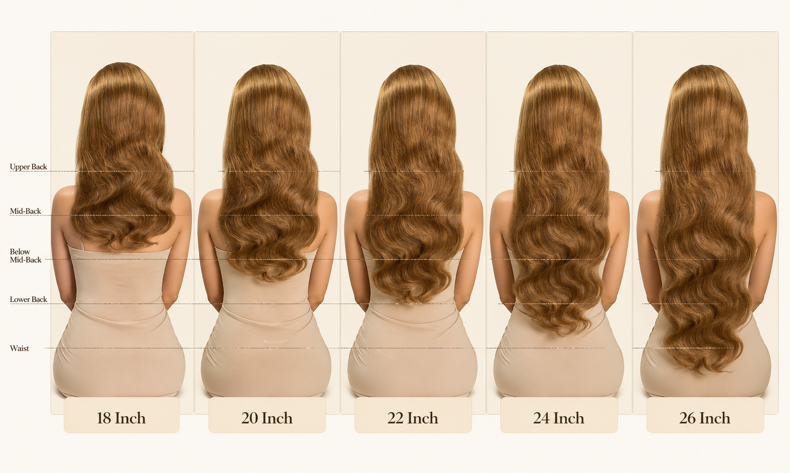 Hair extension length chart with models wearing different hair lengths.